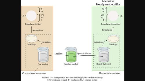 A New Protocol for Obtaining Mucilage and Biopolymeric Ecofilms From Cacti