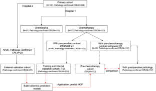 Prediction of transformation in the histopathological growth pattern of colorectal liver metastases after chemotherapy using CT-based radiomics.