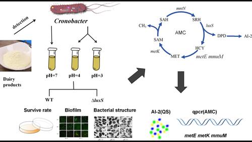 Uncovering phenotypic changes of luxS-mediated acid tolerance in Cronobacter malonaticus