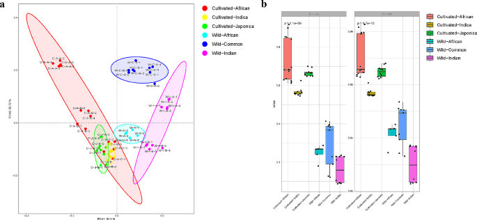 A Synthetic Microbiome Based on Dominant Microbes in Wild Rice Rhizosphere to Promote Sulfur Utilization