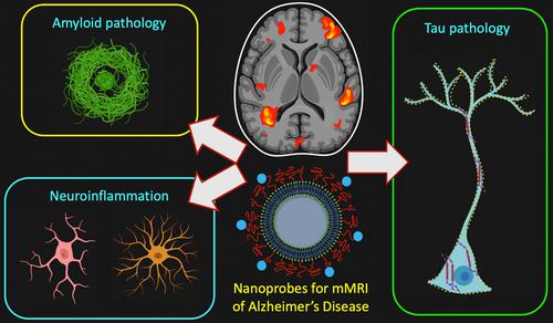 Advances in nanoprobes for molecular MRI of Alzheimer's disease.