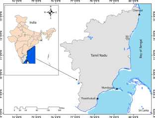 Meticulous Taxonomic Evidence and Molecular Confirmation of Sphyraena forsteri Cuvier, 1829 (Carangiformes: Sphyraenidae) from the Southeast coast of India