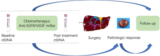 Pre-hepatectomy dynamic circulating tumor DNA to predict pathologic response to preoperative chemotherapy and post-hepatectomy recurrence in patients with colorectal liver metastases.