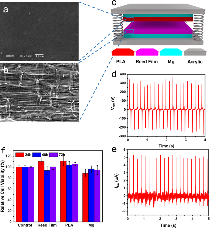 Biodegradable triboelectric nanogenerator as a implantable power source for embedded medicine devices