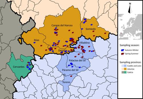 Presence of gastrointestinal and bronchopulmonary parasites in Cantabrian brown bears