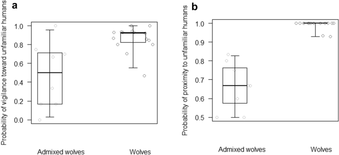 A first exploratory comparison of the behaviour of wolves (Canis lupus) and wolf-dog hybrids in captivity.