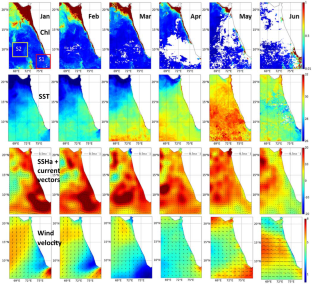 Remote Sensing Observations of Ocean Surface Features and Productivity in the Southeast Arabian Sea Around Lakshadweep