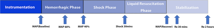 Evaluation of hemorrhagic shock and fluid resuscitation in pigs using handless Doppler carotid artery ultrasound.