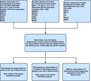 Circulating lipids, lipid-lowering drug targets, and breast cancer risk: Comprehensive evidence from Mendelian randomization and summary data-based Mendelian randomization.