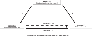 The mediation effect of breastfeeding duration on the relationship between maternal preconception BMI and childhood nutritional risk