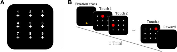 Chunking as a function of sequence length.