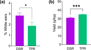 Incidence of Pest and Natural Enemies in Direct Seeded Rice and Transplanted Rice