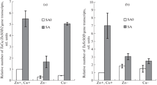 Seed Treatment with Salicylic Acid Increases Gene Expression and Activity of Antioxidant Enzymes in Wheat Plants in Zinc or Copper Deficiency.