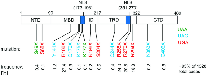 Systematic and quantitative analysis of stop codon readthrough in Rett syndrome nonsense mutations.