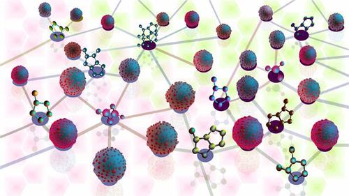 Designing patient-oriented combination therapies for acute myeloid leukemia based on efficacy/toxicity integration and bipartite network modeling.