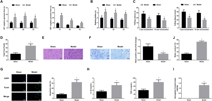 Long Noncoding RNA GAS5-Involved Progression of Neonatal Hydrocephalus and Inflammatory Responses.