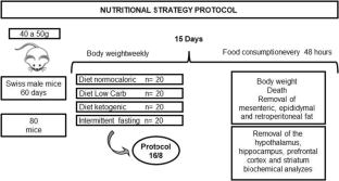 Nutritional strategies cause memory damage and alter biochemical parameters without causing neuroinflammation.