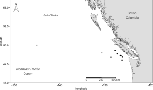 The fate of salp blooms: decomposition and sinking of salp carcasses