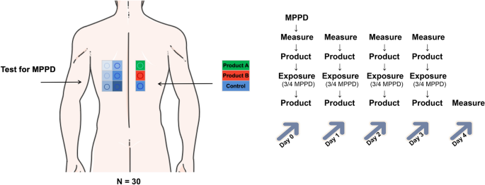 Blue light protection factor: a method to assess the protective efficacy of cosmetics against blue light-induced skin damage in the Chinese population.