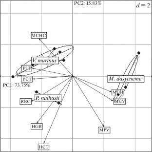 Functional Activity of the Blood System in Two Migratory Bat Species of the Urals.