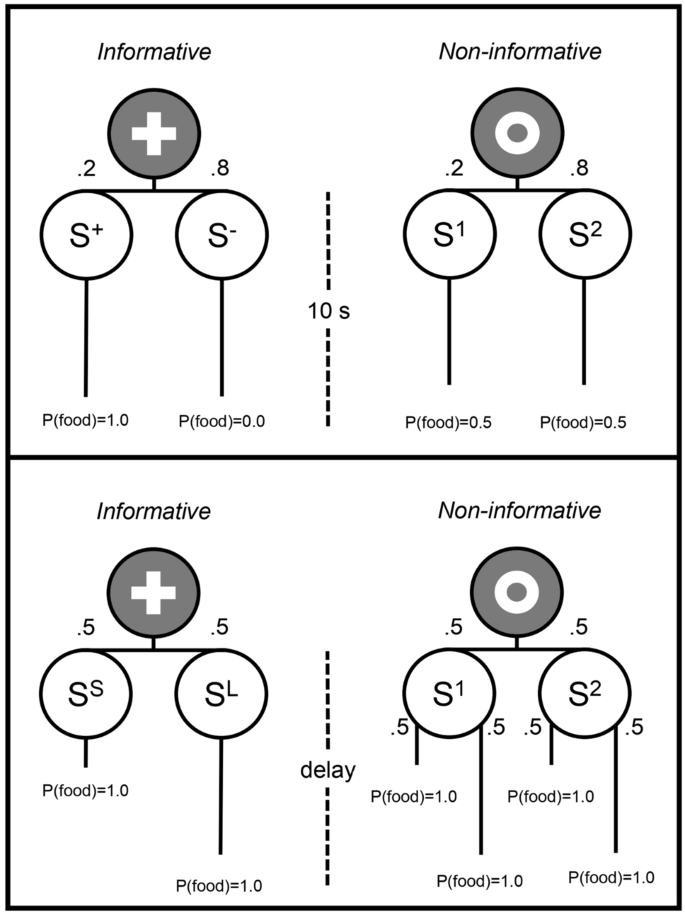 On the value of advanced information about delayed rewards.