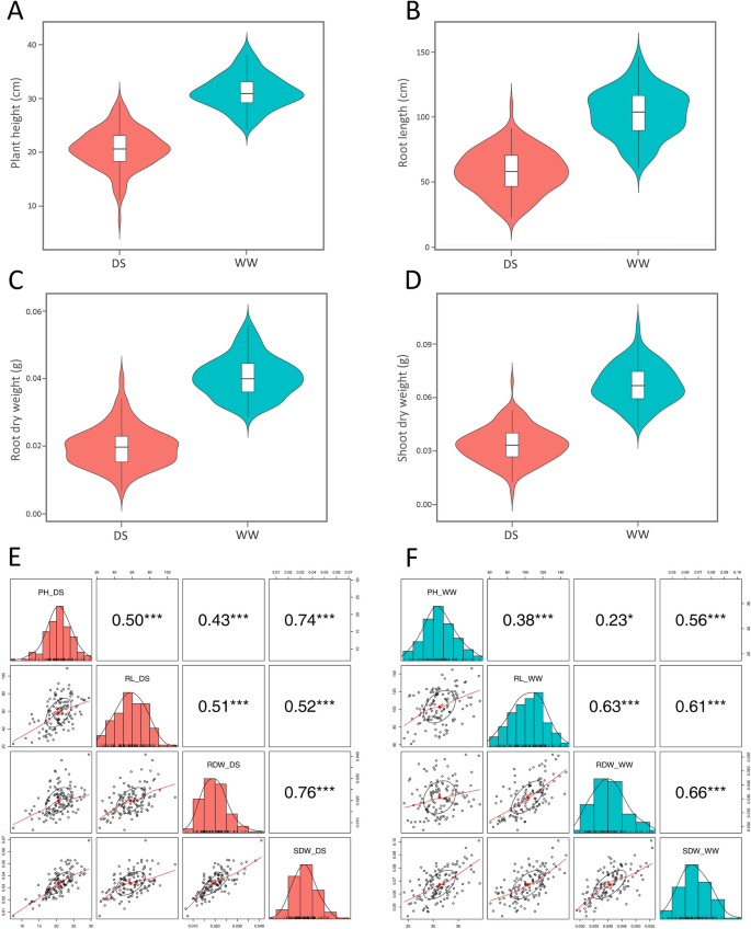 Genome-wide association study of drought tolerance in wheat (Triticum aestivum L.) identifies SNP markers and candidate genes.