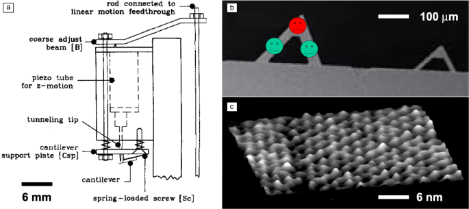 Atomic force microscopy with qPlus sensors