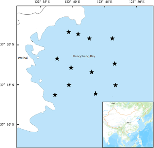 Microsatellite Analysis of the Influence of Sebastes schlegelii Restocking on the Genetic Structure of Stocks in Rongcheng Bay