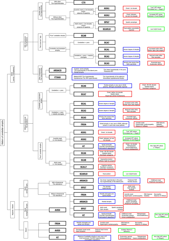 CHARON: An Imaging-Based Diagnostic Algorithm to Navigate Through the Sea of Hereditary Degenerative Ataxias.