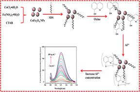 Ultrasensitive fluorometric determination of aluminum using the CoFe2O4 NPs/SDS/oxine system with the aid of ultrasound waves†