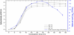 Microbial production of dextran using pineapple waste extract: a two-step statistical optimization of submerged fermentation conditions and structural characterization