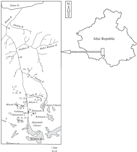 Geoecological and Hydrochemical Features of the Akkem River Basin (Mountain Altai)