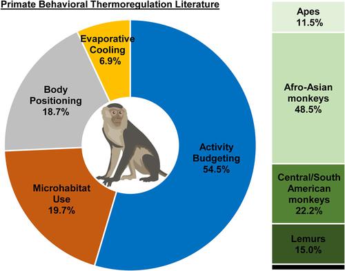 Behavioral thermoregulation in primates: A review of literature and future avenues