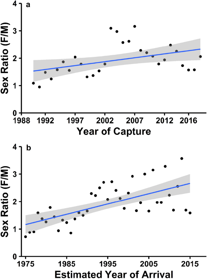 Correction: Feminization of a mixed-stock foraging aggregation of immature green turtles (Chelonia mydas), 1975–2018