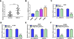 Circ_0082374 Promotes the Tumorigenesis and Suppresses Ferroptosis in Non-small Cell Lung Cancer by Up-Regulating GPX4 Through Sequestering miR-491-5p.