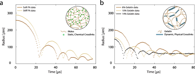 Ballistic and Blast-Relevant, High-Rate Material Properties of Physically and Chemically Crosslinked Hydrogels