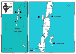 A New Confirmed Distributional Record of Milk Sole, Aseraggodes kobensis (Steindachner 1896), from the Northeastern Indian Ocean