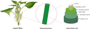 Mechanical Stability of Carbon/Ramie Fiber Hybrid Composites Under Hygrothermal Aging