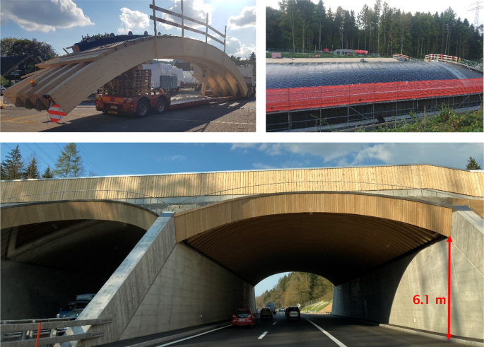 Monitoring climatic impacts on the moisture uptake of the first Swiss wildlife bridge made of wood