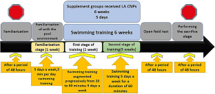 Effects of Exercise Training and L-Arginine Loaded Chitosan Nanoparticles on Hippocampus Histopathology, β-Secretase Enzyme Function, APP, Tau, Iba1and APOE-4 mRNA in Aging Rats.