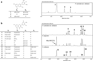 Floral pigments and their perception by avian pollinators in three Chilean Puya species.