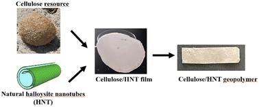 Composite materials based on halloysite clay nanotubes and cellulose from Posidonia oceanica sea balls: from films to geopolymers†