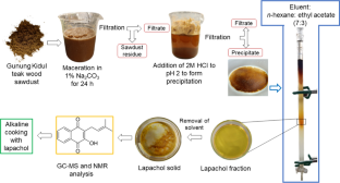 Lapachol from Indonesian teak (Tectona grandis) wood waste as a natural additive for alkaline cooking