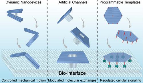 Precise construction of DNA origami-based materials for functional regulation on biological interface