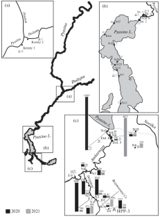 Hydrocarbon Transformations in Bottom Sediments after an Emergency Spill of Diesel Fuel in Norilsk