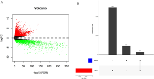 Construction and Analysis of a Mitochondrial Metabolism-Related Prognostic Model for Breast Cancer to Evaluate Survival and Immunotherapy.