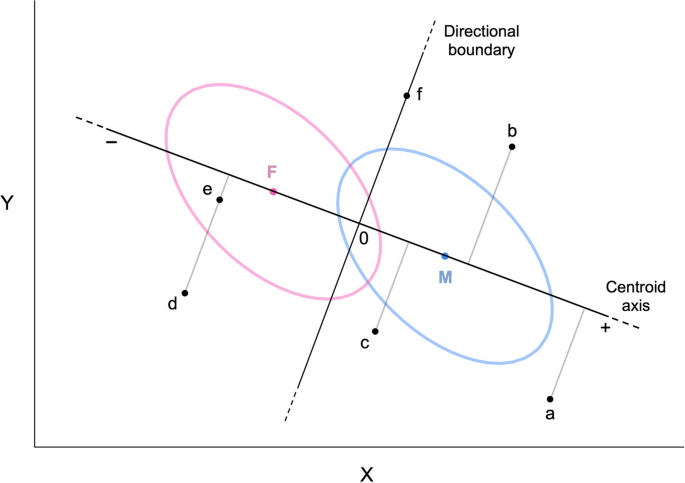 Statistical indices of masculinity-femininity: A theoretical and practical framework.