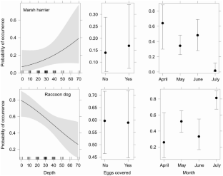 The Big Four reign in eutrophic lake reedbeds: predation on artificial waterbird nests