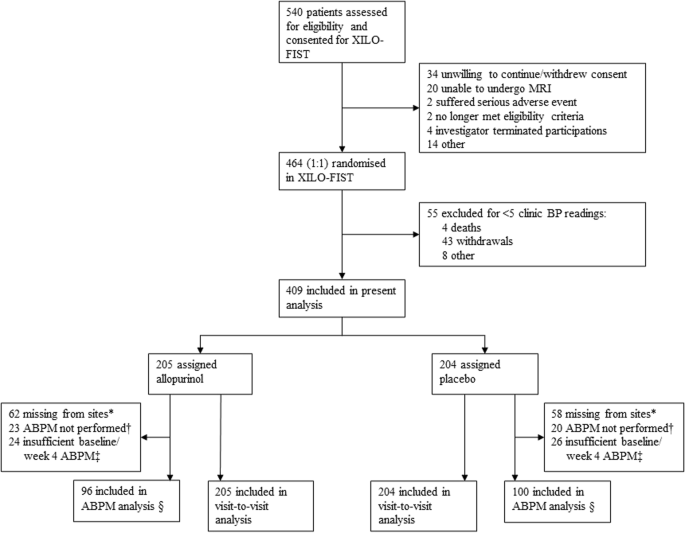 Allopurinol and blood pressure variability following ischemic stroke and transient ischemic attack: a secondary analysis of XILO-FIST