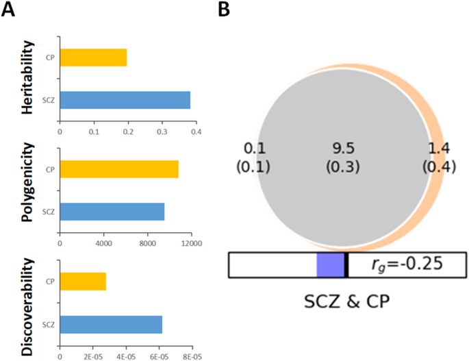 Genetic overlap between schizophrenia and cognitive performance.